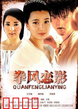 拳风恋影：铁拳与柔情