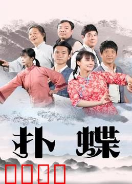 扑蝶：遗失的夏日