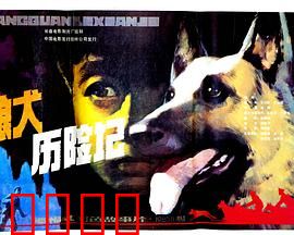 狼犬历险记：忠诚的伙伴