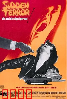 小英雄与大刺客：侠义双雄