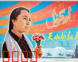 天山的红花：草原上的乐章