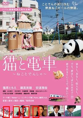 猫与电车：温暖归途