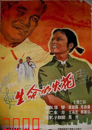 生命的火花：重燃希望之光