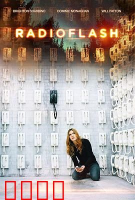 电磁脉冲：末日生存