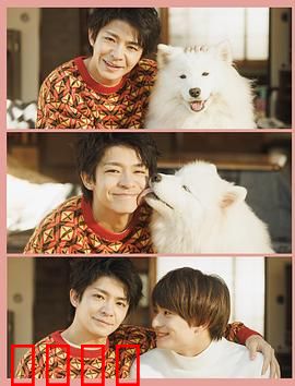 爱你汪汪：人狗情深