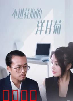 不进花瓶的洋甘菊：荒野绽放的倔强