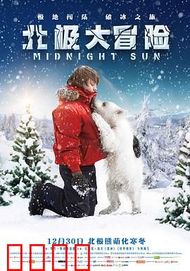 北极大冒险：冰原求生记