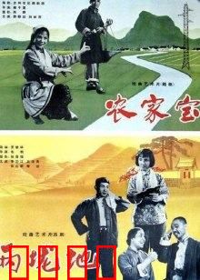 农家宝：勤劳致富的奇迹