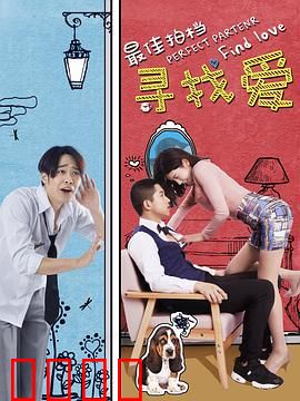 最佳拍档之寻找爱：意外的浪漫之旅