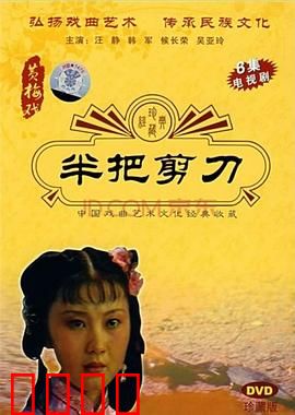 半把剪刀：命案背后的冤屈