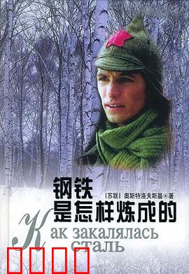 钢铁是怎样炼成的：一个少年的蜕变