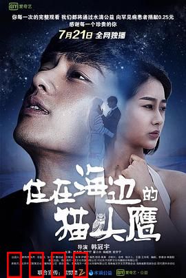 住在海边的猫头鹰：孤独心灵救赎