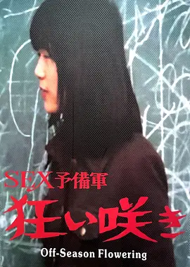 淡季花开：逆境中的绽放