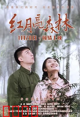 红月亮森林：血色真相