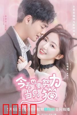 今天也要努力当只猫：猫咪的职场逆袭