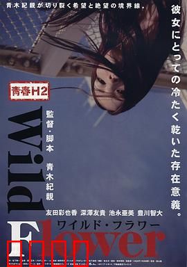 青春H2之狂野之花：误入歧途的叛逆