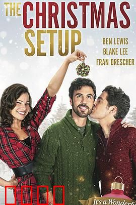 圣诞速配：冬日奇缘