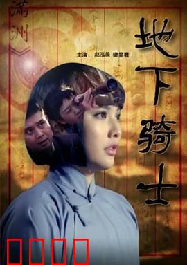 地下骑士：暗影守护者