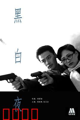 黑白夜：真相在镜中