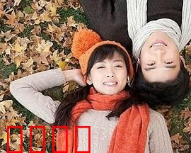 合居情缘：意外同居的浪漫