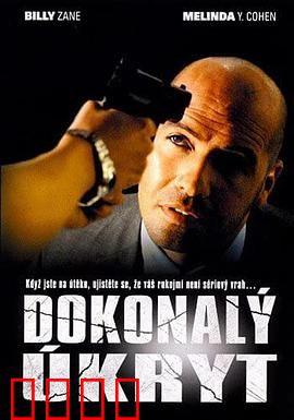 完美隐藏：密室惊魂