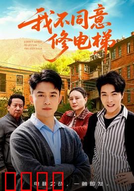 我不同意修电梯：一票否决权