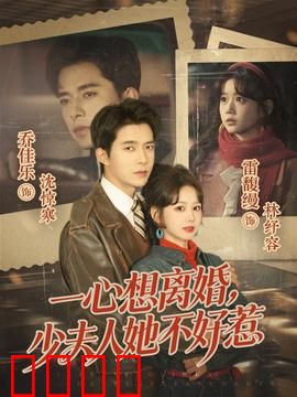 一心想离婚，少夫人她不好惹：离婚大作战