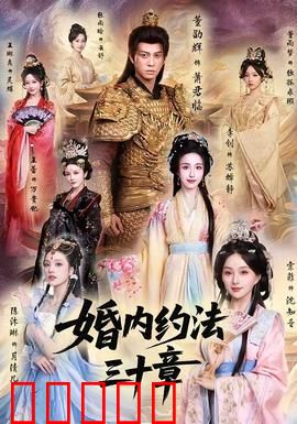 婚内约法三十章：契约婚姻的真相