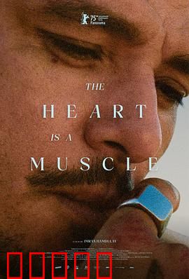 心如肌理：情感的刻痕