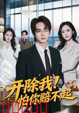 开除我！怕你赔不起：最强员工反杀记