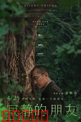 寂静的朋友：无声的守护