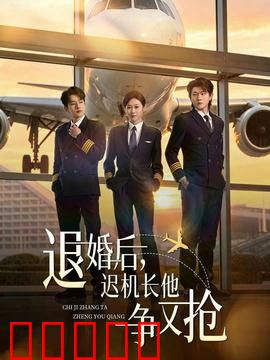 退婚后，迟机长他争又抢：霸总追妻记