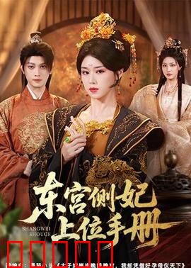 东宫侧妃上位手册：步步惊心