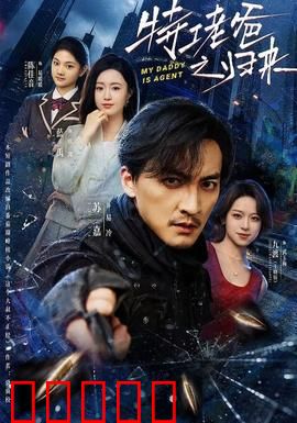 特工老爸之归来：终极复仇